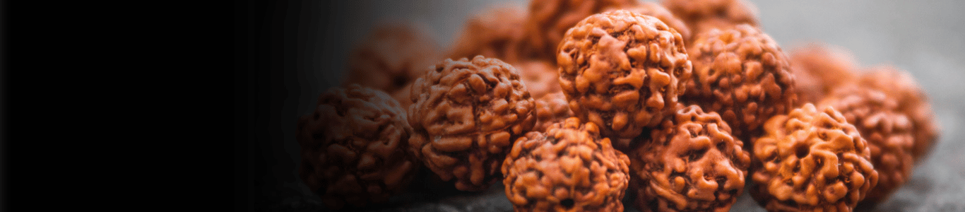 Healing Through Rudraksha: Insights from Astrologer RP Singh